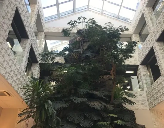 Outpatient building