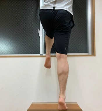 アキレス腱の中期リハビリ_踵挙げなどの腓腹筋の筋力トレーニング