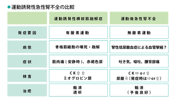 運動後急性腎不全の比較