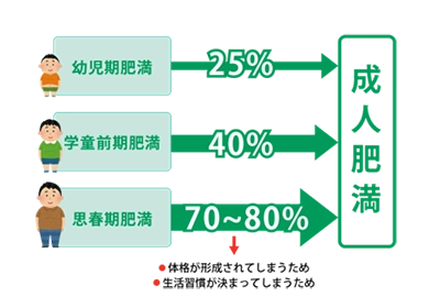小児期～思春期肥満が成人肥満に与える影響
