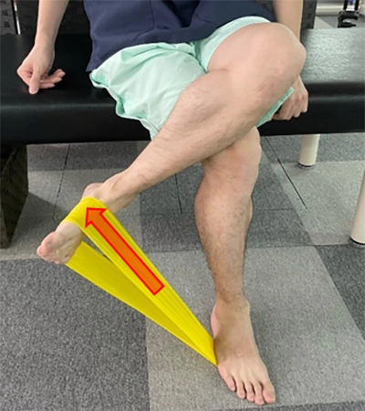 タオルを用いて、足関節を上に反りストレッチ