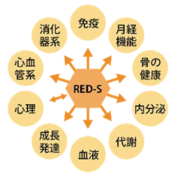 RED-Sによって生じる問題