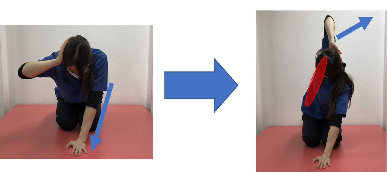 手を頭の後ろに置き、肩甲骨を引き寄せるように行う Part1