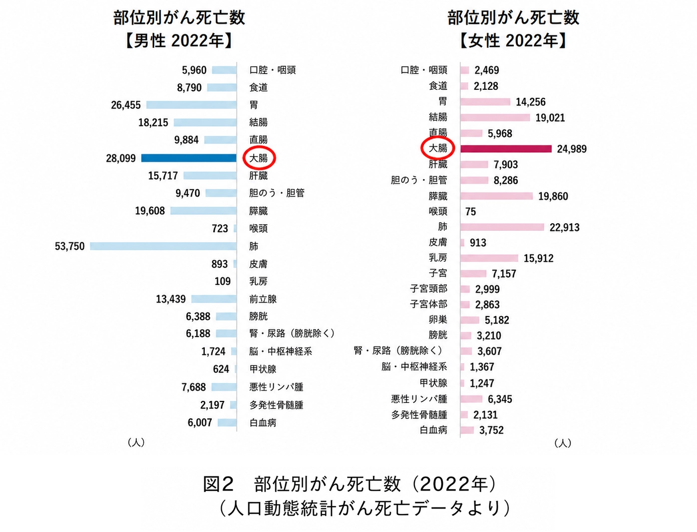 がん情報サービス：人口動態統計がん死亡データ