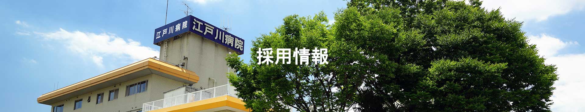 新卒看護師応募ページ