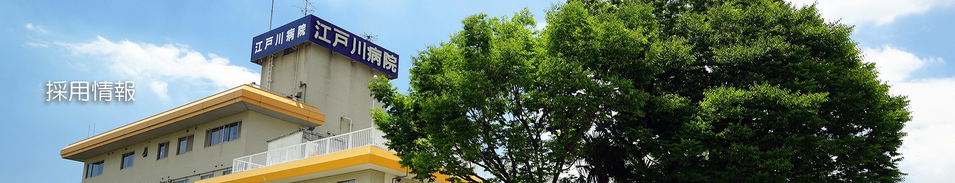 採用情報