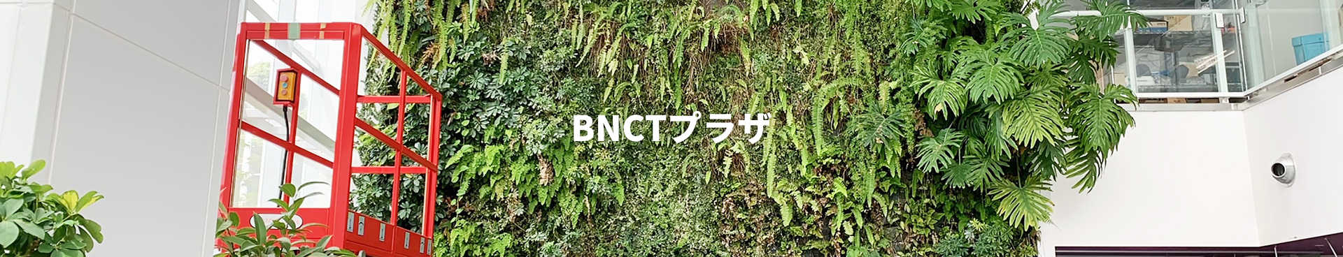 BNCTのヘッダー画像